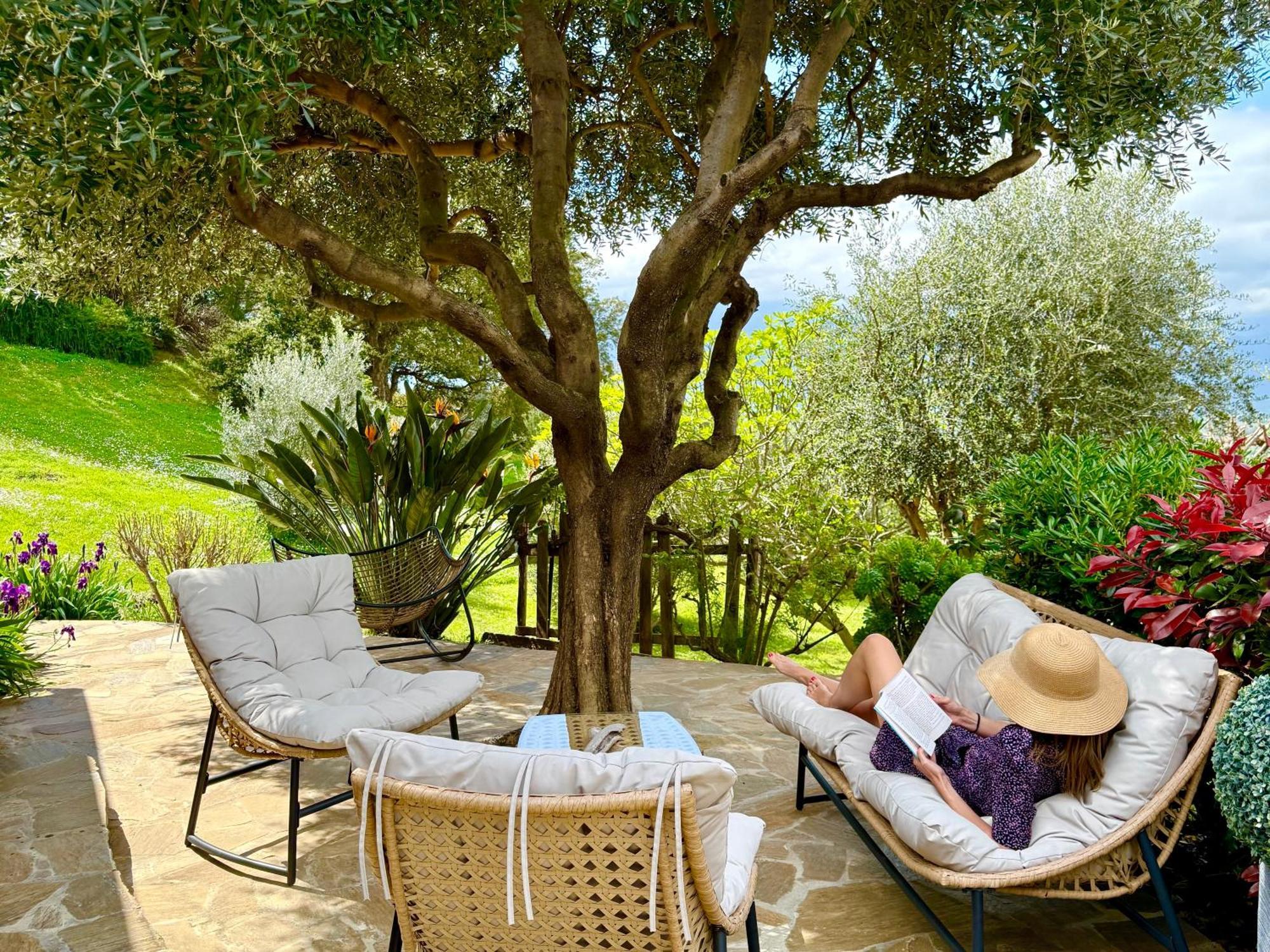 Carpediem_Corsica Poggio-d'Oletta Kültér fotó